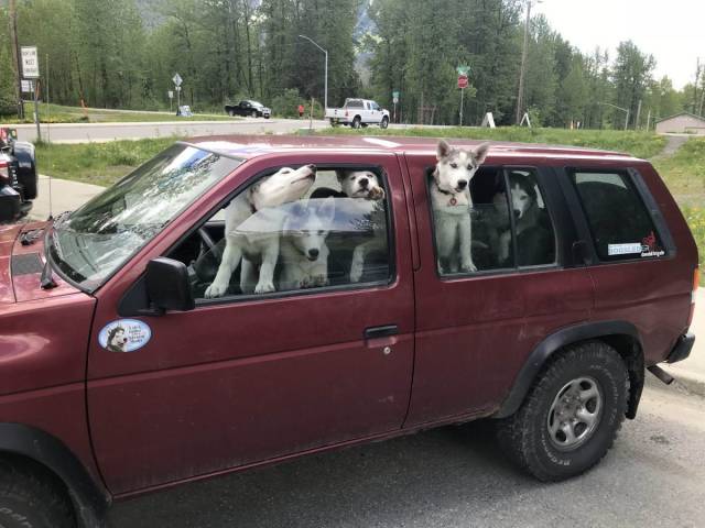 Content Image