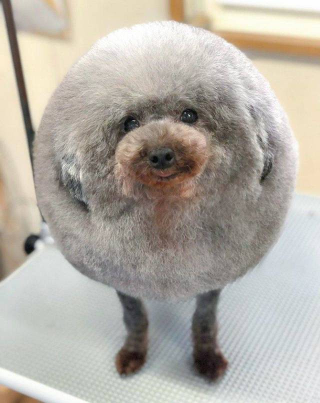 Daily Picdump [WEEKEND EDITION]