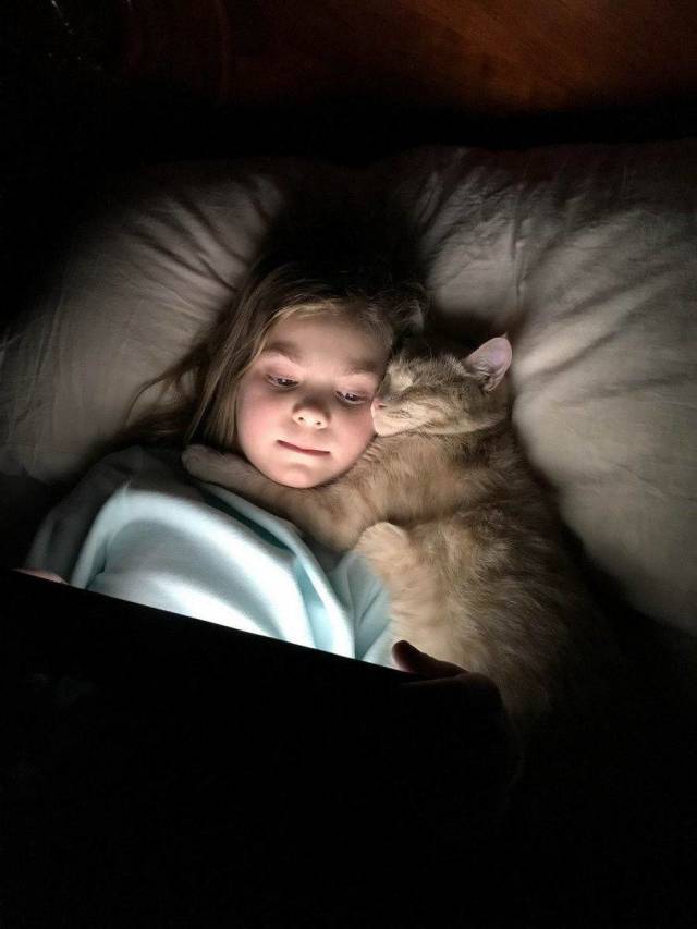 Content Image