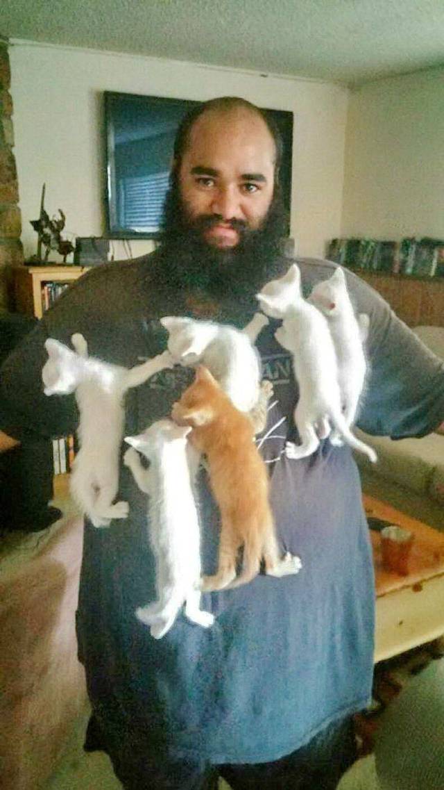 Content Image
