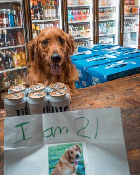 Daily Picdump