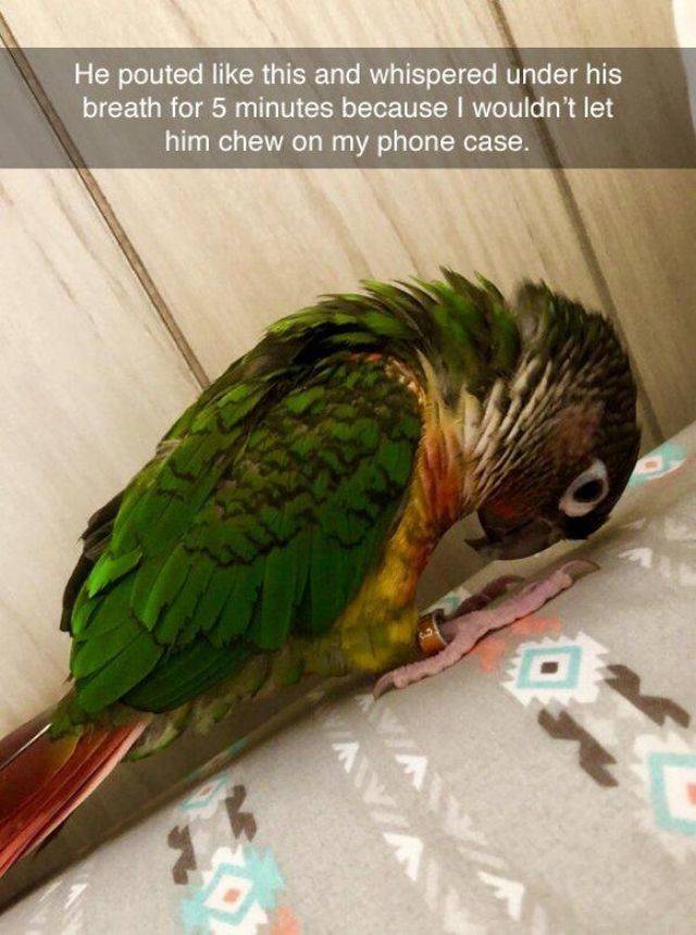 Daily Picdump
