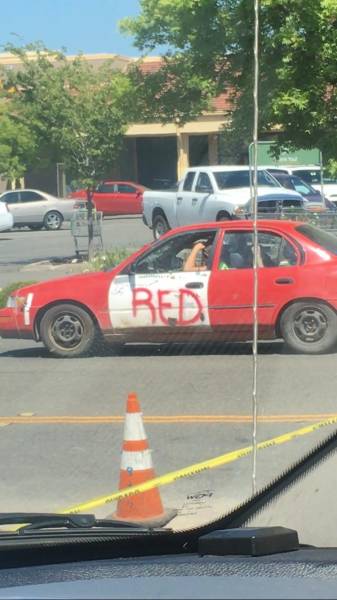 Morning Picdump