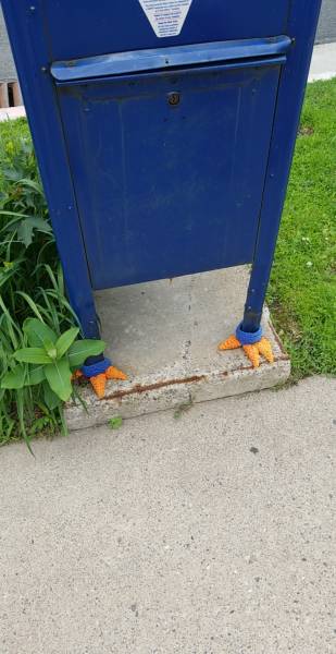 Morning Picdump