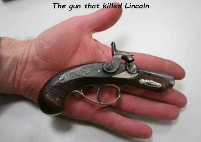 Content Image