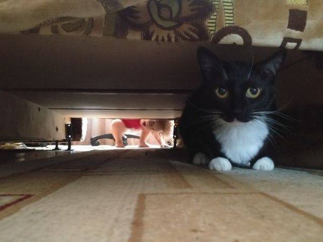 Daily Picdump