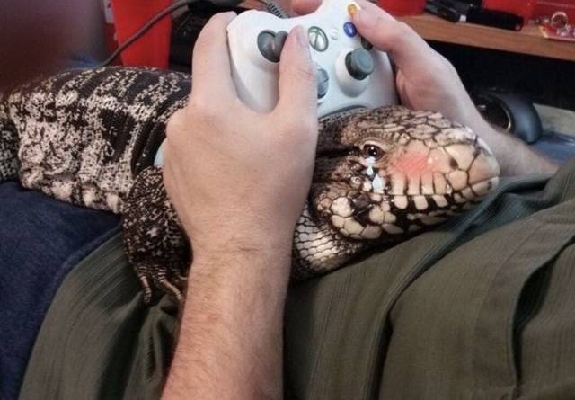 Daily Picdump