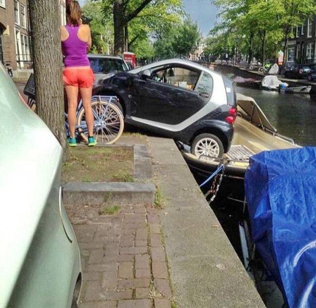 Daily Picdump