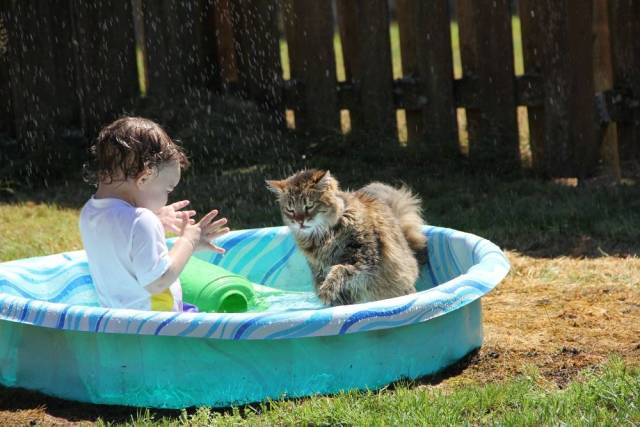 Daily Picdump