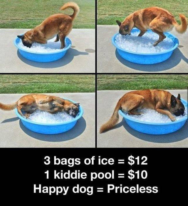 Daily Picdump