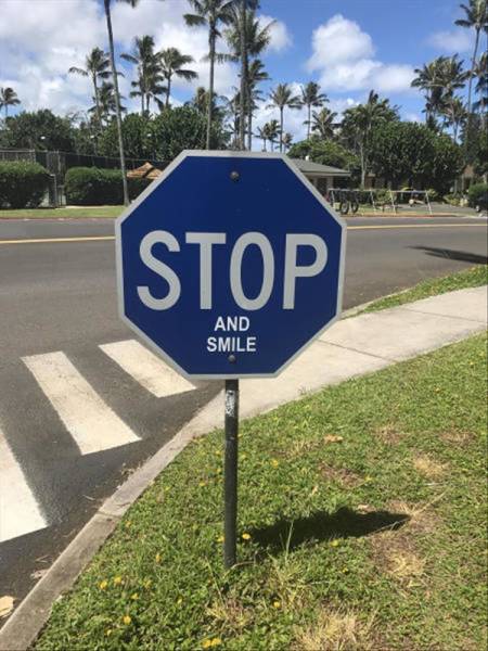 Content Image