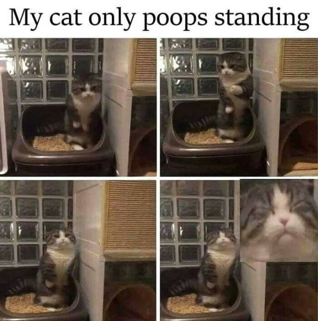 Funny Picdump