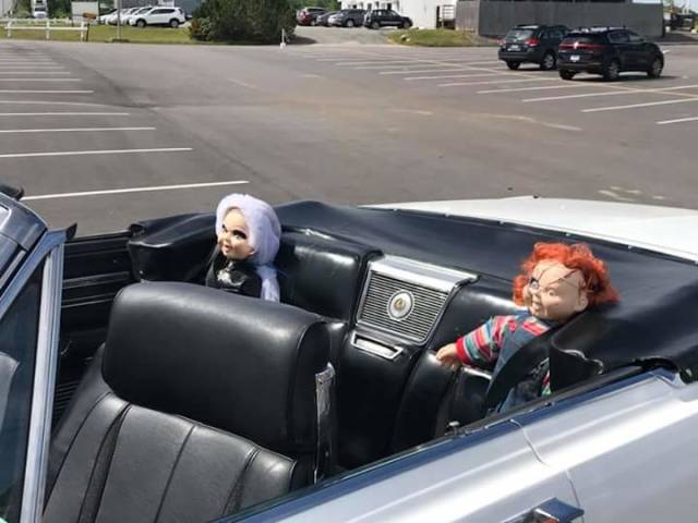 Morning Picdump