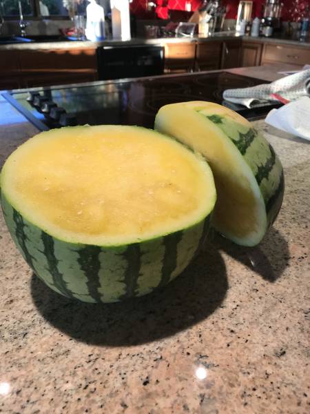 Content Image