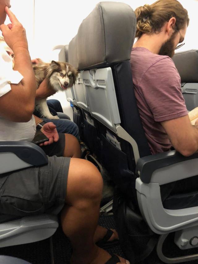 Morning Picdump