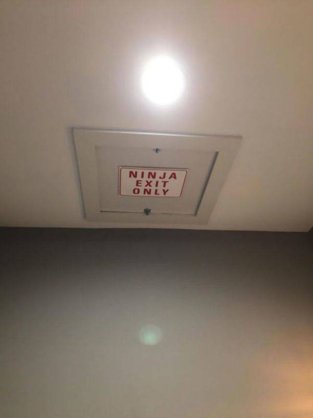 Content Image