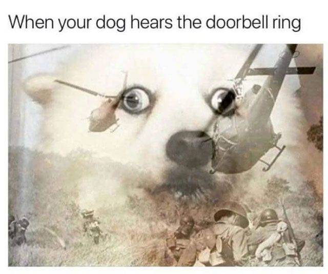 You Won’t Even Try Arguing With This