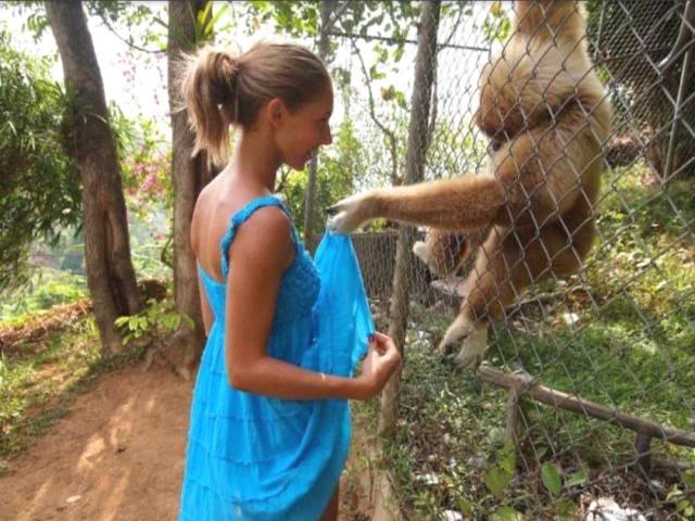 Daily Picdump [WEEKEND EDITION]