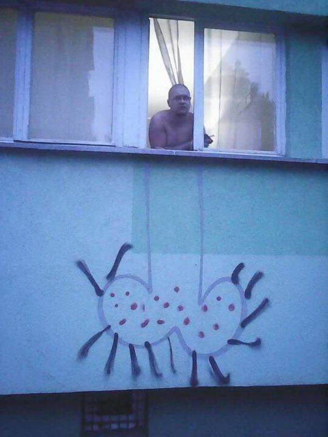 Content Image