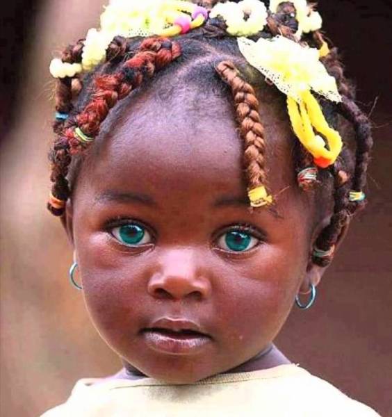 Pics That Are So Poignant and Fascinating