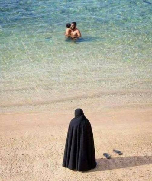 Daily Picdump