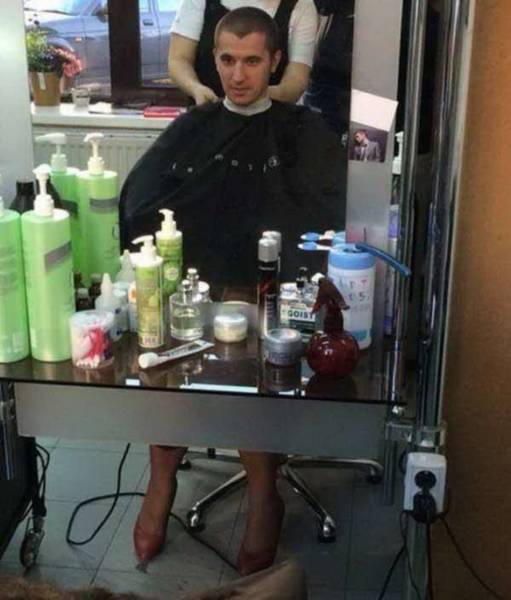 Daily Picdump