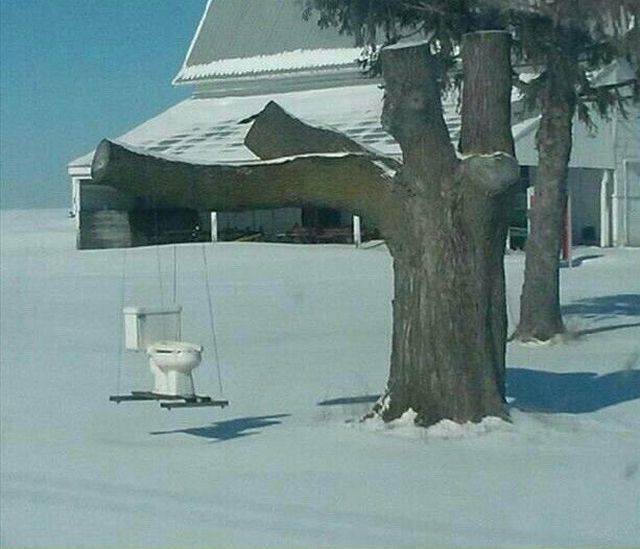 Content Image