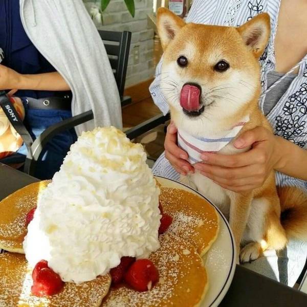 Content Image