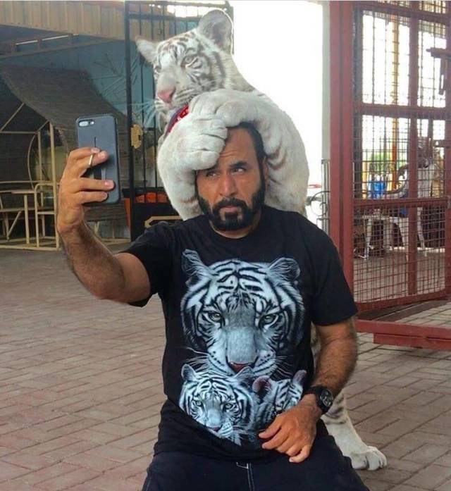 Content Image
