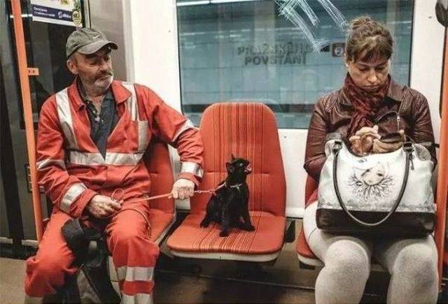 Content Image