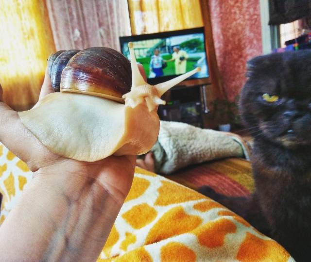 Daily Picdump