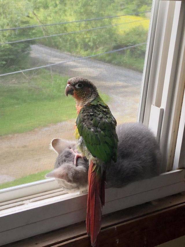Daily Picdump