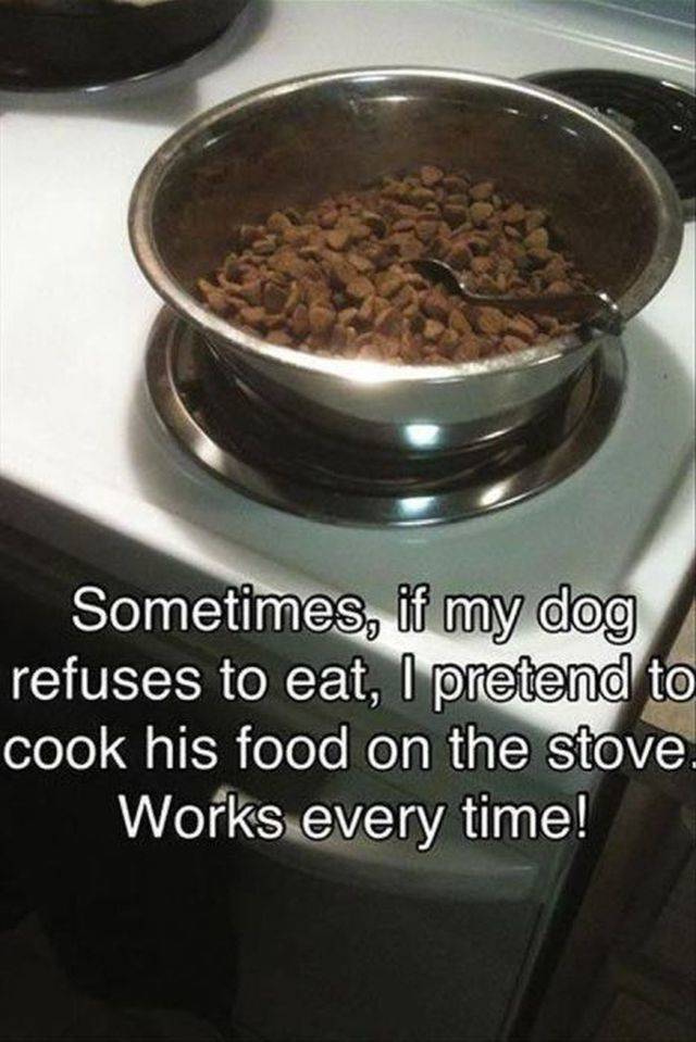 Daily Picdump