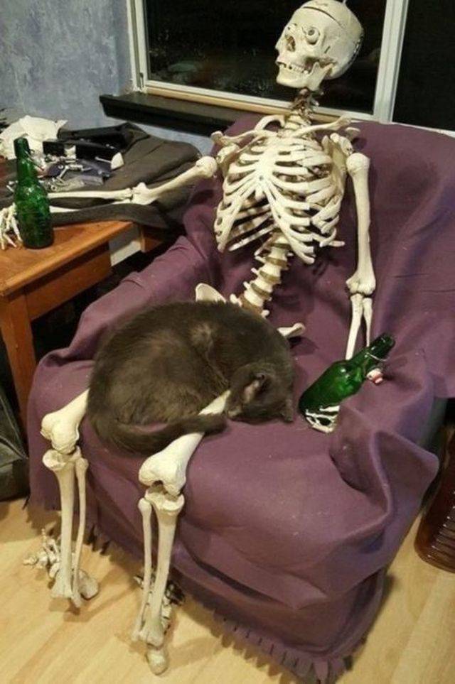 Content Image