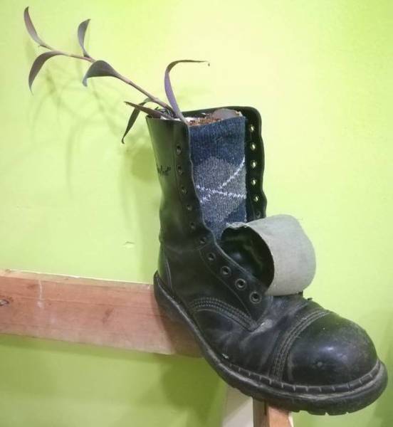 Content Image