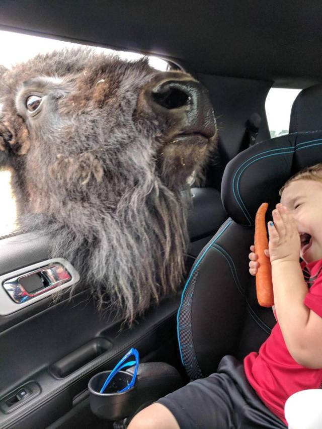Daily Picdump [WEEKEND EDITION]