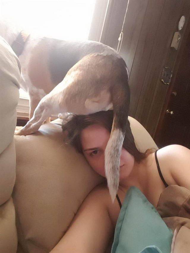 Daily Picdump [WEEKEND EDITION]