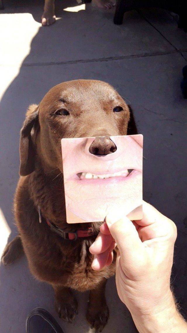 Content Image