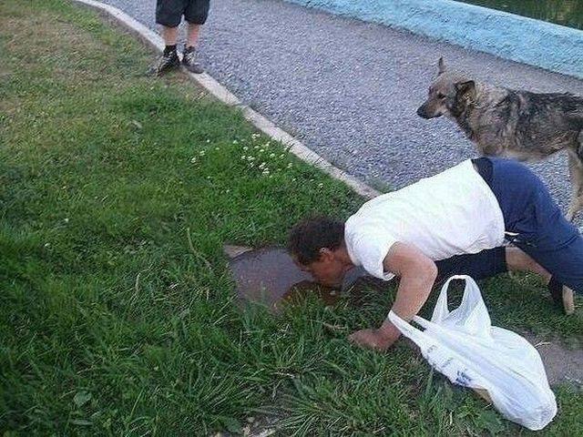 Content Image