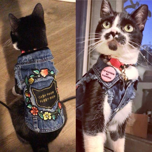 Funny Picdump