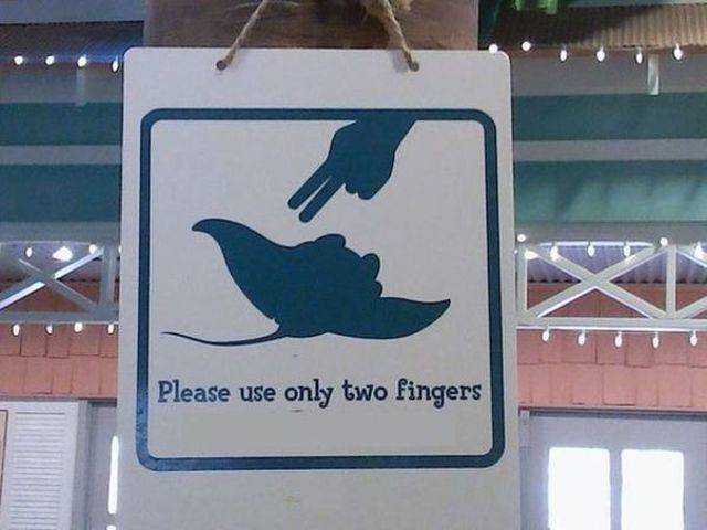 Dirty Mind, Come Here!