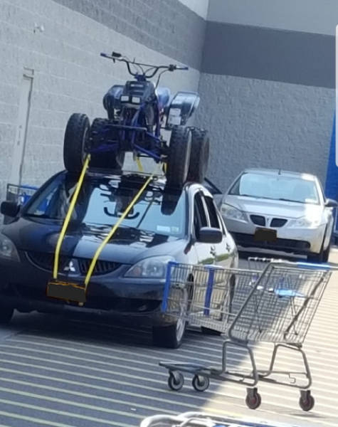 Morning Picdump