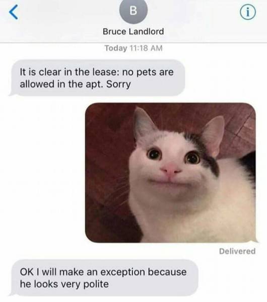 Funny Picdump