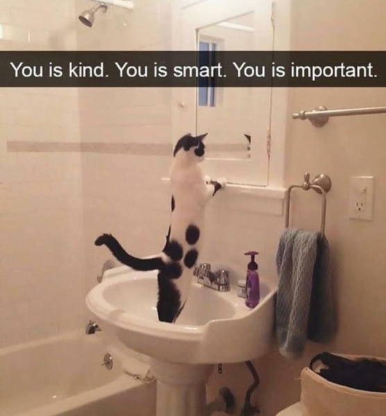 Funny Picdump