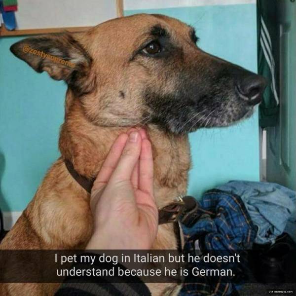 Content Image