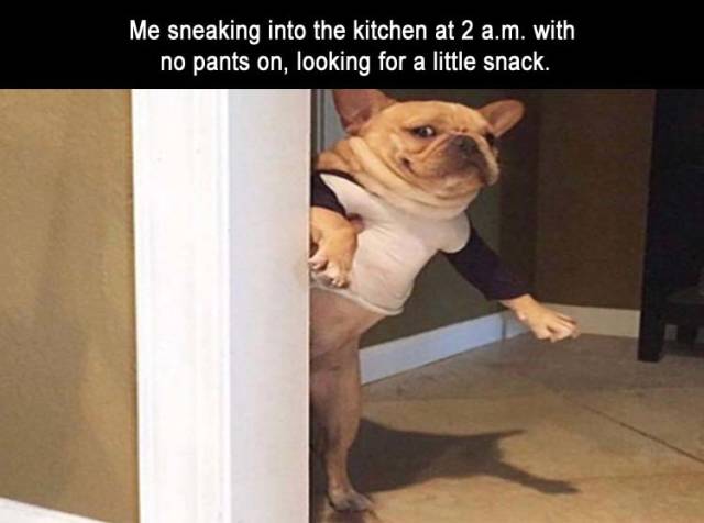 Content Image