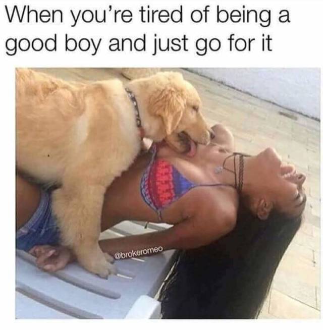 Content Image
