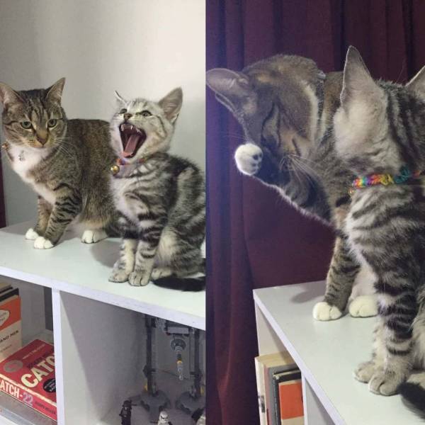Daily Picdump