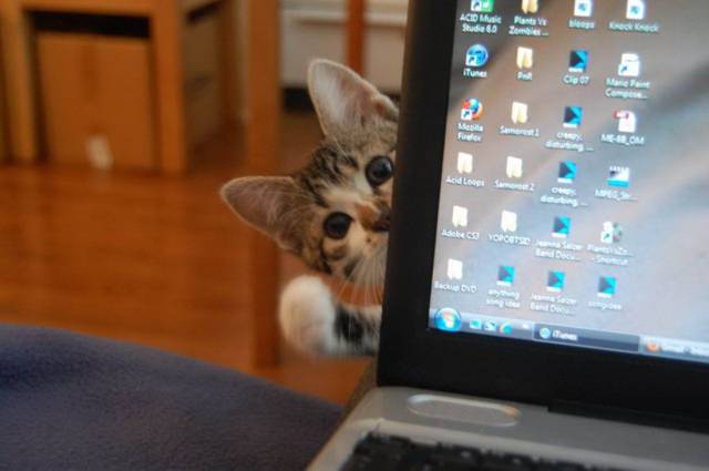 Daily Picdump
