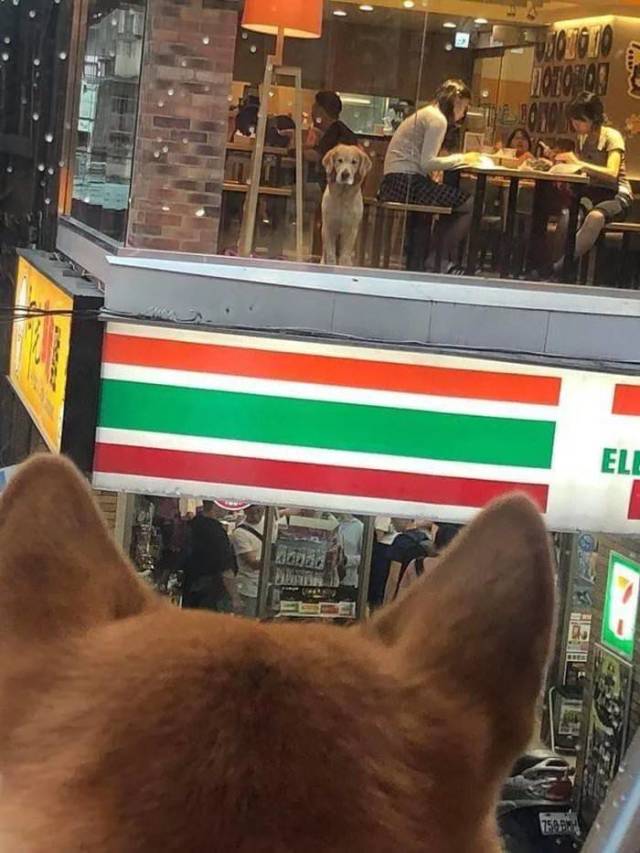 Daily Picdump